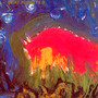 Meat Puppets II - Meat Puppets
