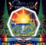 Arborescence / Become The - Ozric Tentacles