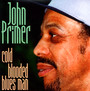 Cold Blooded Blues Man - John Primer