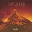 D Frosted - Gotthard D Frosted - Gotthard