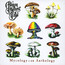 Mycology: An Anthology - The Allman Brothers Band 