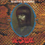 The Snake - Harvey Mandel