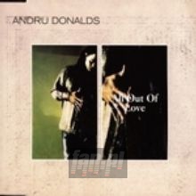 All Out Of Love - Andru Donalds