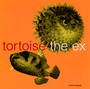 In The Fishtank - Tortoise / ex