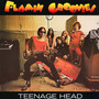 Teenage Head - Flamin' Groovies