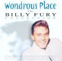 Wondrous Place: Collection - Billy Fury