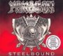 Steelbound - Paragon