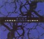 Blue Blood - James Blood Ulmer 