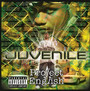 Project English - Juvenile