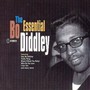 Essential Collection - Bo Diddley