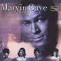Marvin Gaye & Friends - Marvin Gaye