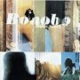 Animal Magic - Bonobo