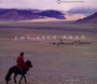 Silk Road-A Musical Carav - V/A