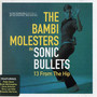 Sonic Bullets 13 From The Hip - The Bambi Molesters 