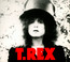 The Slider - T.Rex