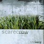 Outcry - Scarecrow