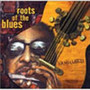 Vanguard Roots Of Blues - V/A