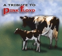 A Rock Tribute To Pink Floyd - Tribute to Pink Floyd
