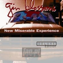 New Miserable Experience - Gin Blossoms