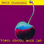 Black Cherry Acid Lab - David Fiuczynski