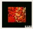 The Boy & The Tree - Susumu Yokota - bigger The Boy & The Tree - Susumu Yokota