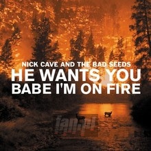 He Wants You/Babe I'm On - Nick Cave / The Bad Seeds 