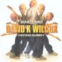 Rockin The Boogie - David Wilcox