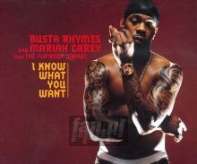 I Know What You Want - Busta Rhymes