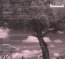 Weather Report - Chris Watson