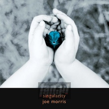 Singularity - Joe Morris
