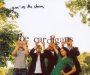 You're The Storm - The Cardigans