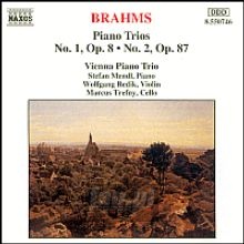 Brahms: Piano Trios Nos. 1 & 2 - J. Brahms