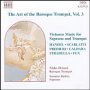 The Art Of The Baroque Trumpet - V/A