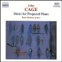 Cage: Music For Prepared Pinao - J. Cage