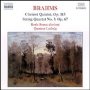 Brahms: Clarinet Quintet,Op.11 - J. Brahms