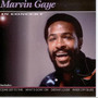 In Concert - Marvin Gaye