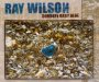 Goodbye Baby Blue - Ray Wilson