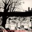 Epitaph For A Legend - International Artist