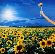 Thank You-Best Of - Stone Temple Pilots - powiększ Thank You-Best Of - Stone Temple Pilots