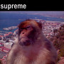 Supreme - Supreme