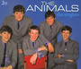 The Singles - The Animals