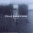 Dead Reckoning - Small Brown Bike