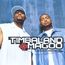Indecent Proposal - Timbaland / Magoo