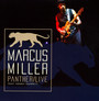 Panther - Marcus Miller