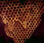 Map Of What Is Effortless - Telefon Tel Aviv