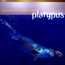 Platypus - Gerard Presencer Platypus - Gerard Presencer