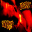 Too Much Guitar - Reigning Sound