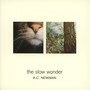 Slow Wonder - A.C. Newman