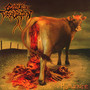 Humanure - Cattle Decapitation