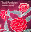 Something/Anything - Todd Rundgren